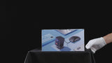 Toumei C1000 Mini Projector with WiFi and Bluetooth Built-in Battery & Speaker